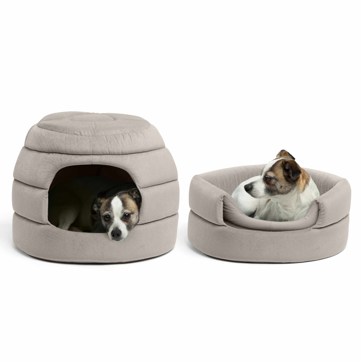 Pet Palette