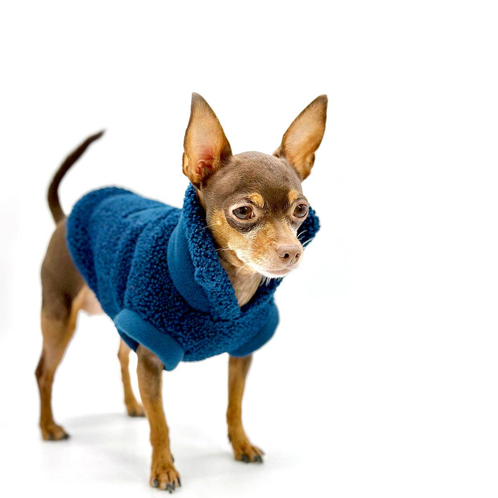 DoggieCoutureNY Cozy Sherpa Fleece Pullover Dog Clothes