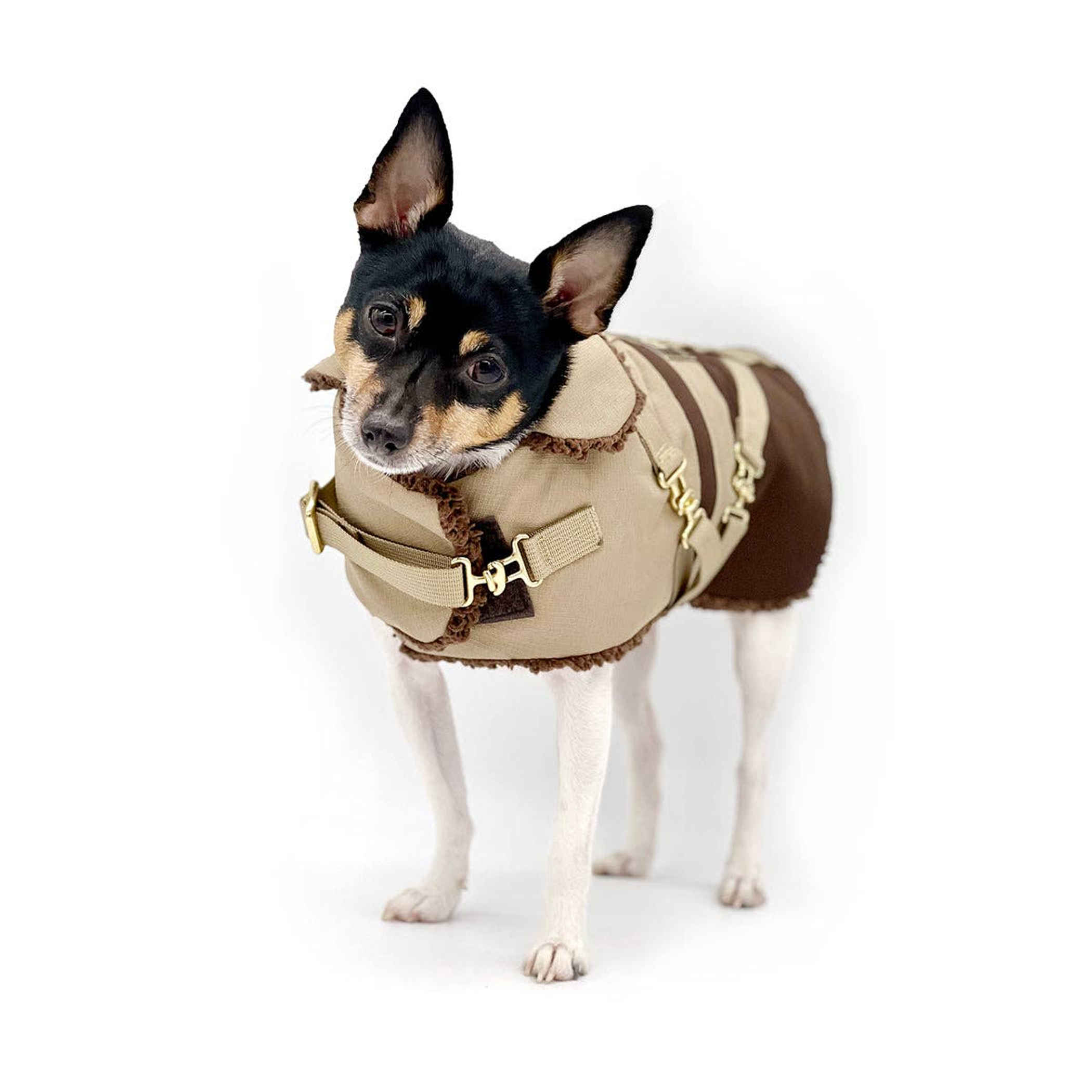 DoggieCoutureNY "Classic Mocha Latte" - DCNY Equestrian Collection Dog Clothes