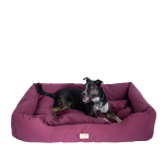 AeroMark International Inc Armarkat Bolstered Dog Bed