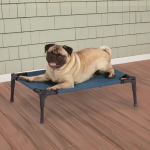 Pet Edge Guardian Gear Pet Cot Blue S Outdoor Beds