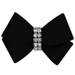 Susan Lanci Designs Pet Accessories
