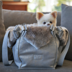 Susan Lanci Designs Pet Carriers