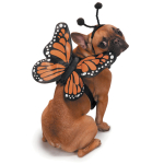 Pet Edge ZZ Butterfly NoGlow Harness Costume M Halloween
