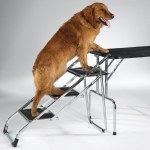 Pet Edge ME Pet Stair Grooming Tables/SUV Tubs