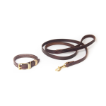 Sturdy Brothers Dog Leashes