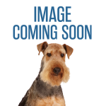 Pet Edge Digger's 2 Pk Tennis Ball Toy Rope