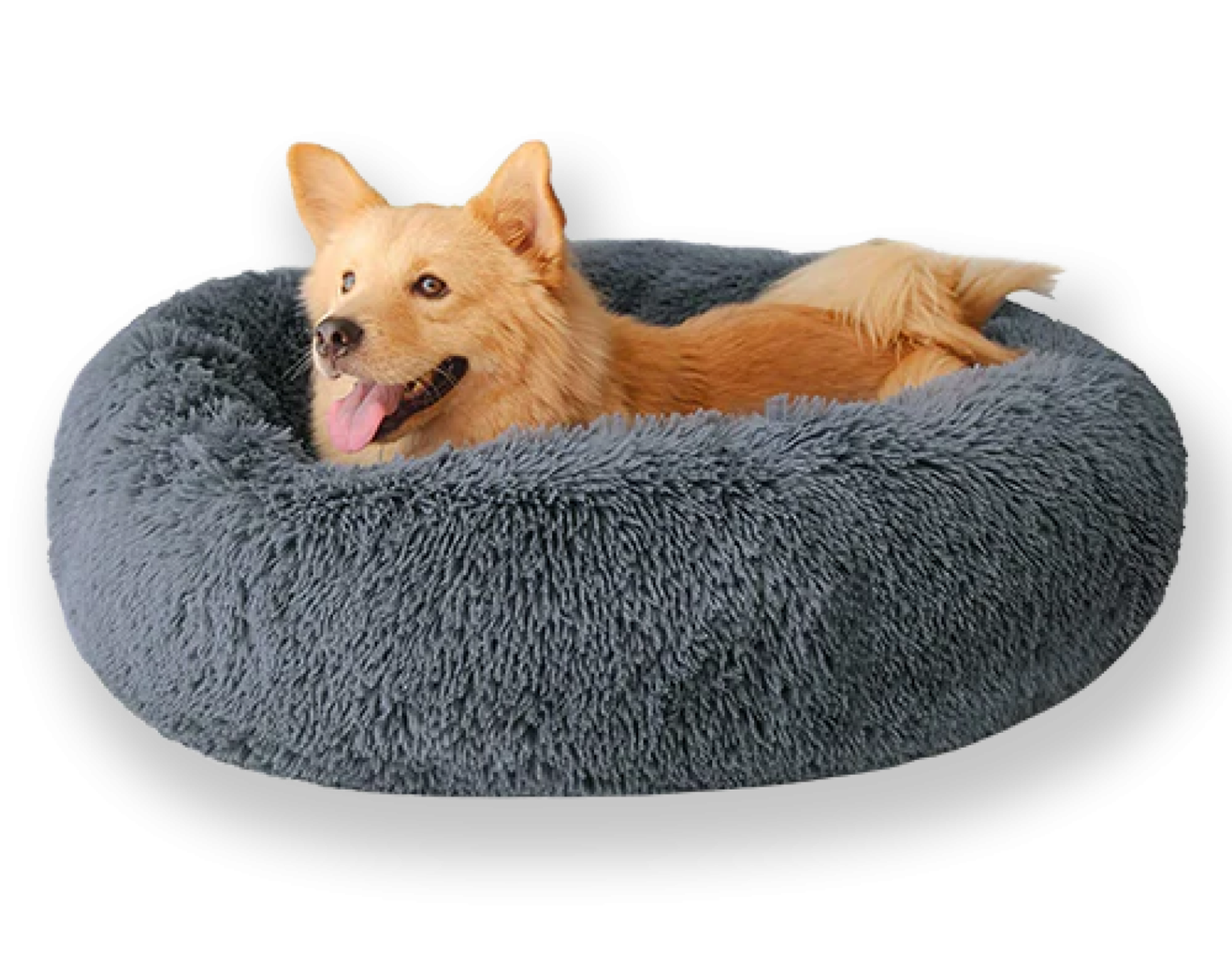 Puppy Community Dog Beds Puppy Community Donut Dog Bed Dog Beds