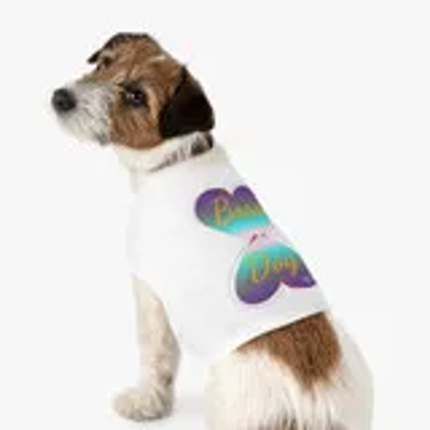 eou ready wesr Dog Clothes eou ready wesr Boss Dog Pet Tank Top Dog Clothes