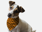 Bandoggies Dog Bandanas