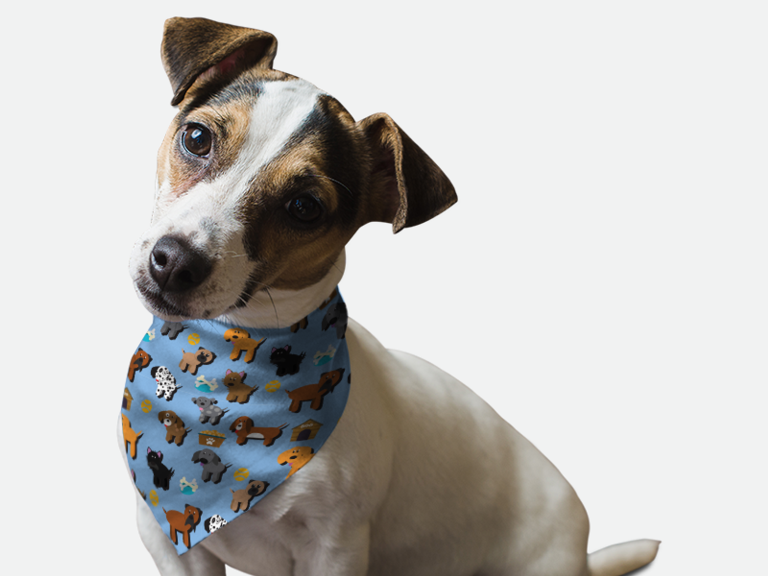 Bandoggies Pup Pals Dog Bandanas