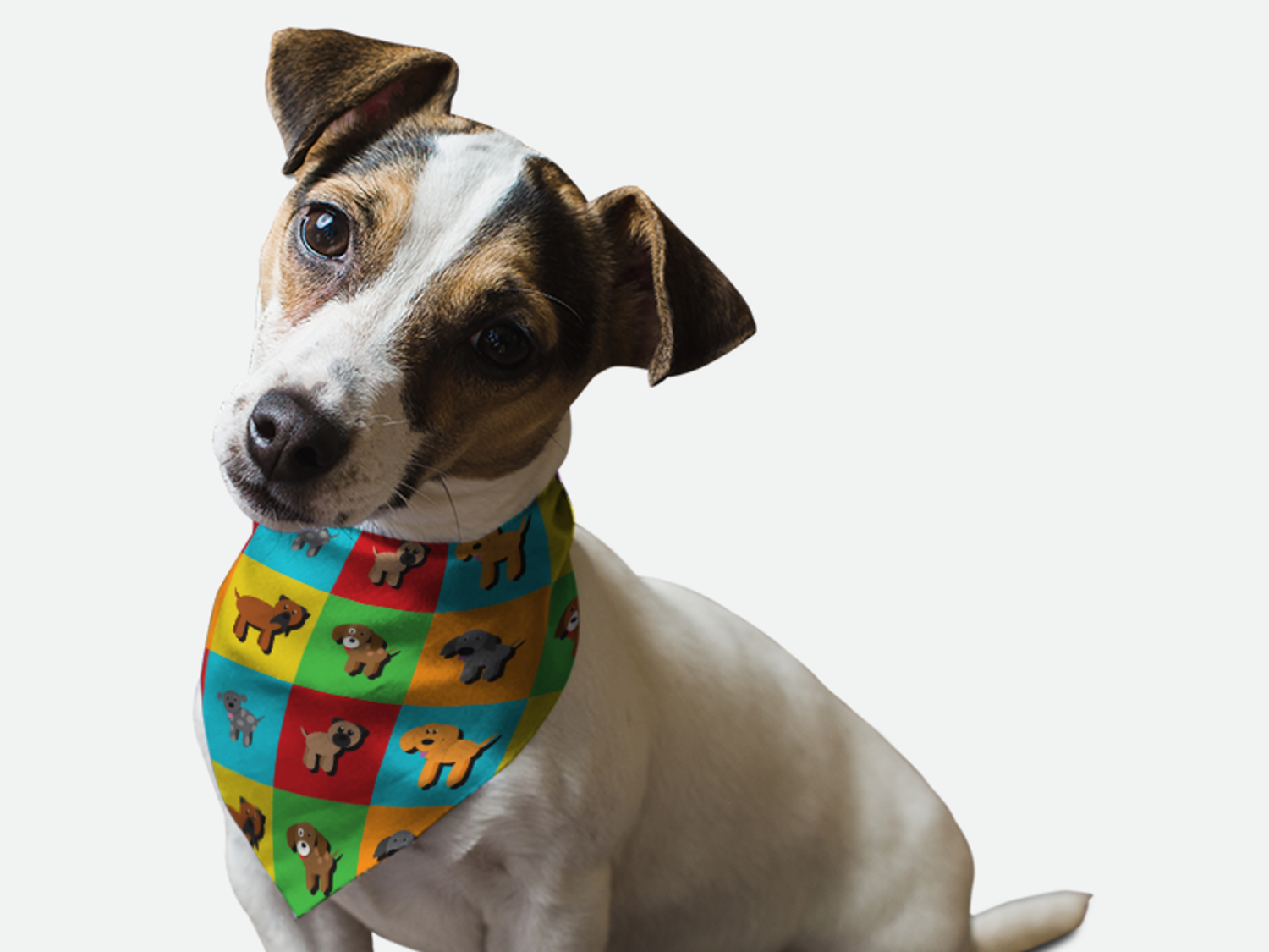 Bandoggies Park Snazzenue Dog Bandanas