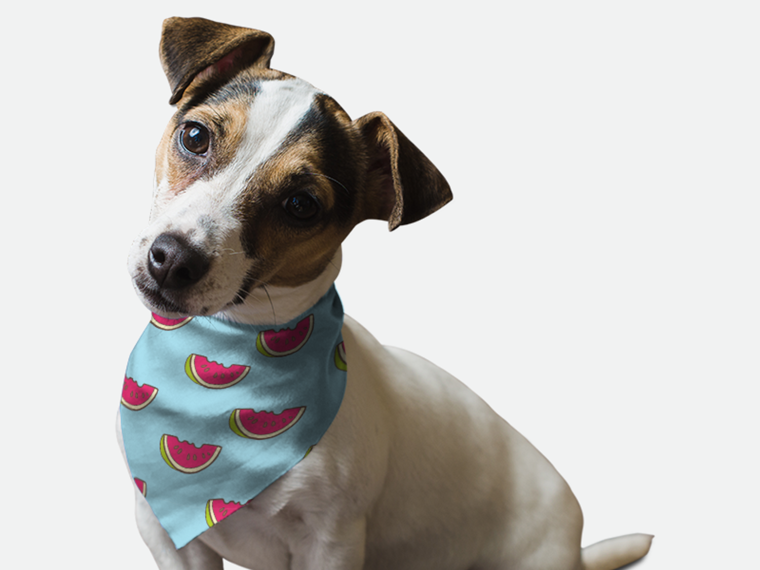 Bandoggies Summer Watermelon Dog Bandanas