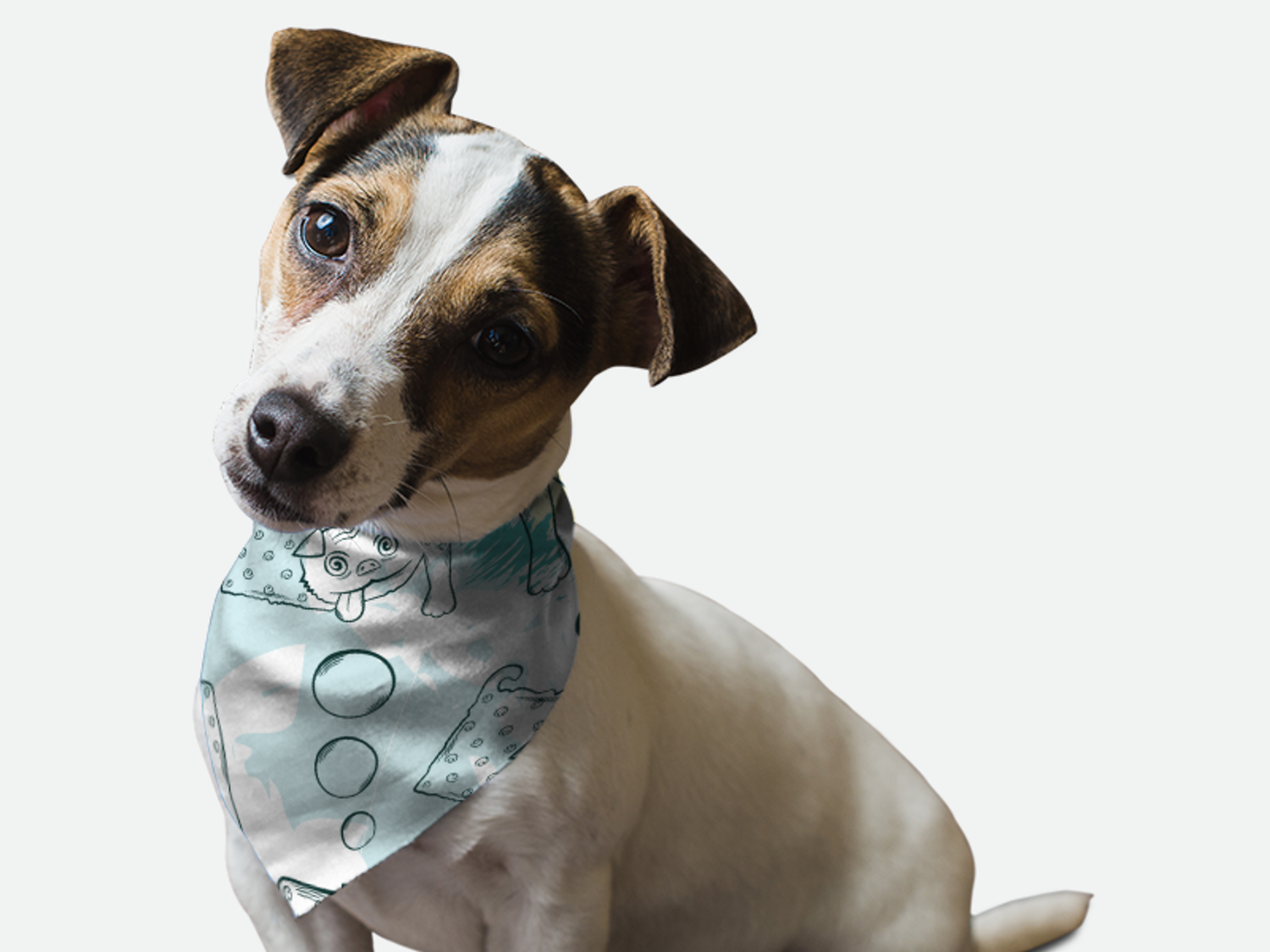 Bandoggies Tasty Treats Dog Bandanas
