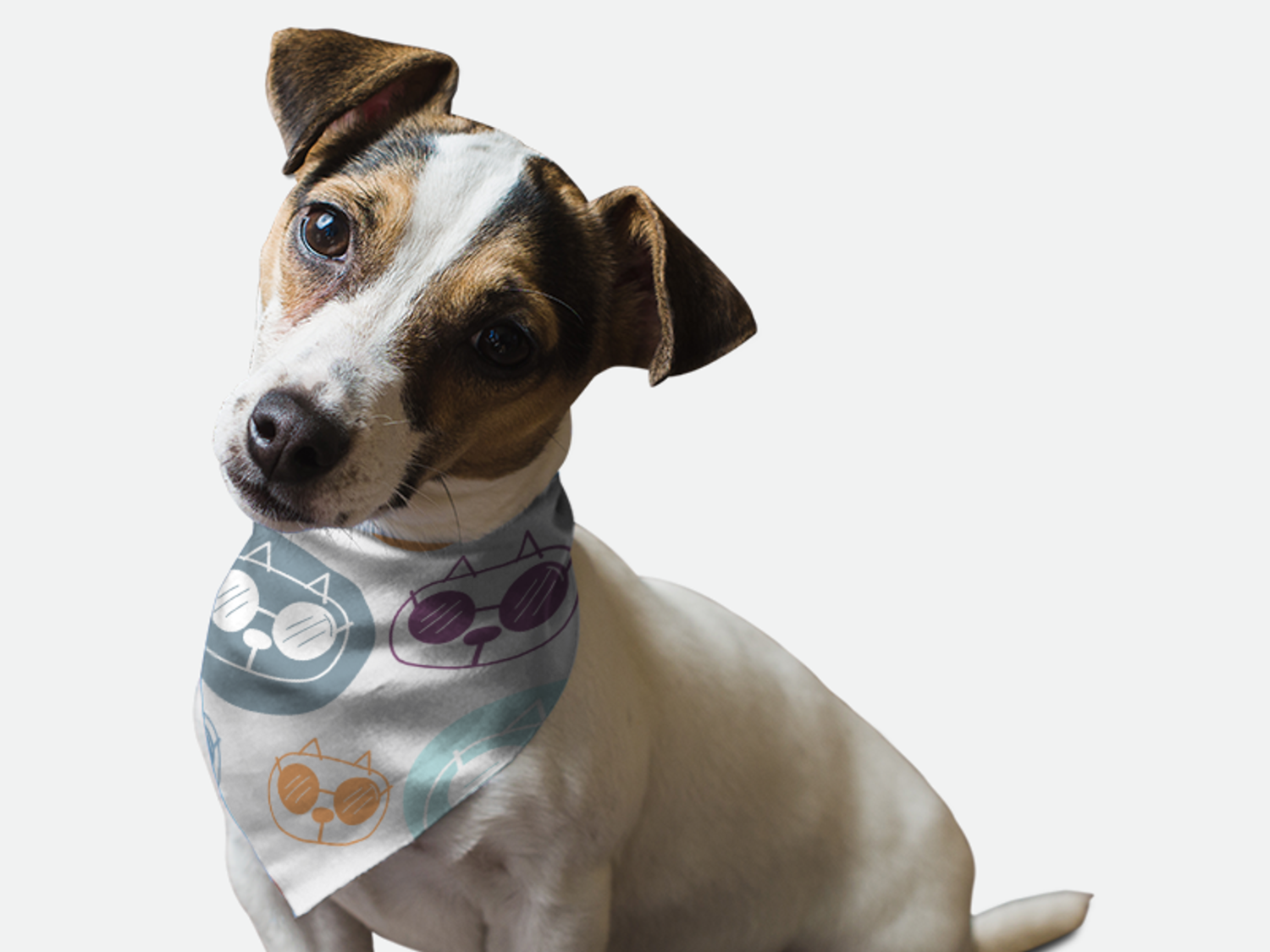 Bandoggies Caturday Saturday Dog Bandanas