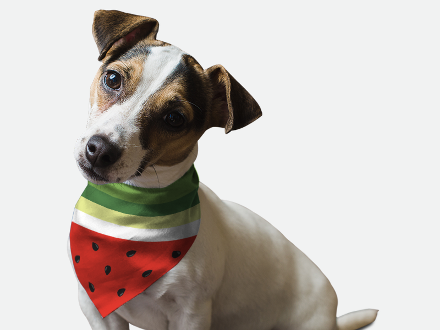 Bandoggies Sweet Slice Dog Bandanas
