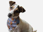 Bandoggies Dog Bandanas