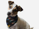 Bandoggies Dog Bandanas