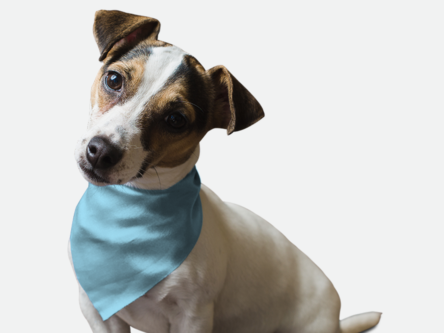 Bandoggies Water Bowl Blue Dog Bandanas