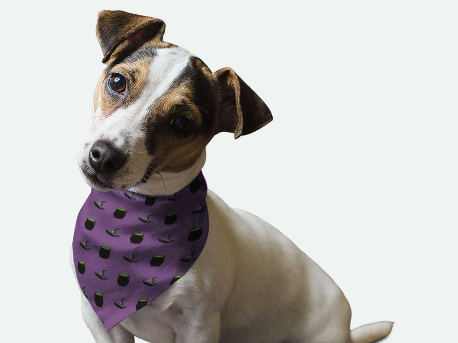 Bandoggies Witch's Brew Dog Bandanas