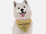 Bandoggies Dog Bandanas