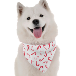 Bandoggies Dog Bandanas