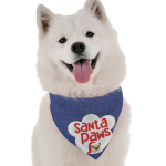 Bandoggies Dog Bandanas