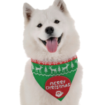 Bandoggies Dog Bandanas