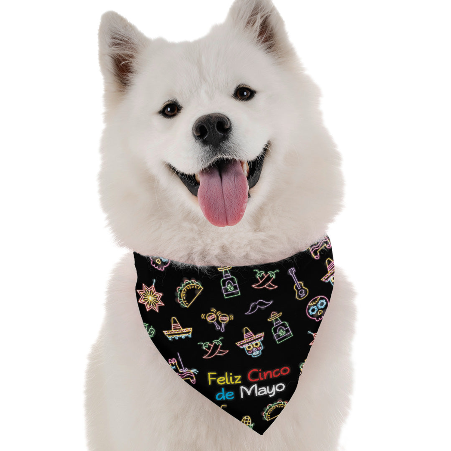 Bandoggies Feliz Cinco de Mayo Dog Bandanas