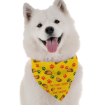 Bandoggies Dog Bandanas