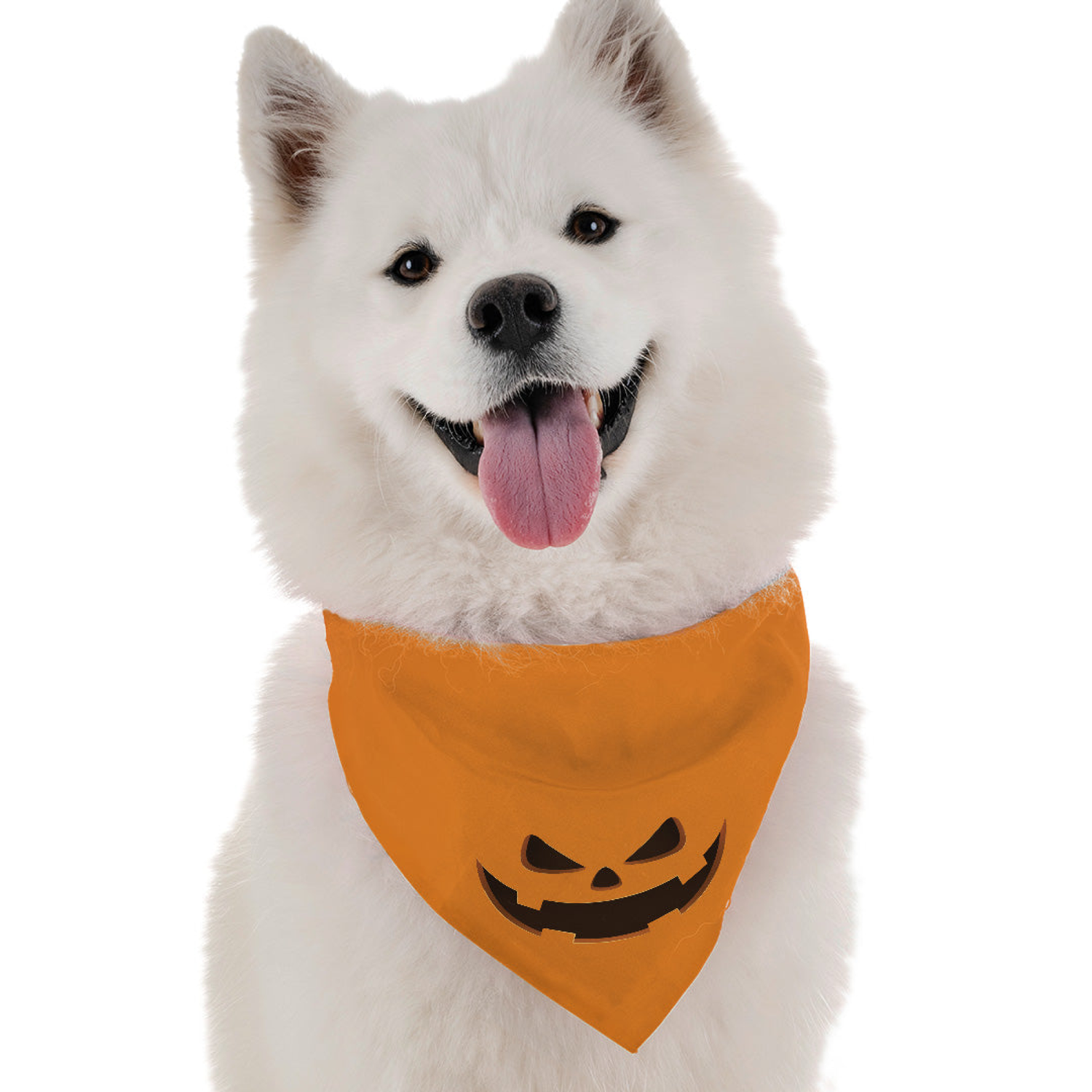 Bandoggies Jack-O-Lantern Dog Bandanas