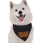 Bandoggies Dog Bandanas