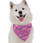 Bandoggies Dog Bandanas