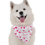 Bandoggies My Mom is Obsessed with Me Dog Bandanas