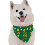Bandoggies Irish for the Day Dog Bandanas