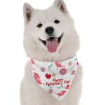 Bandoggies Dog Bandanas