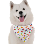 Bandoggies Dog Bandanas