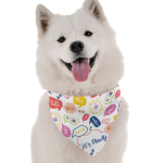Bandoggies Dog Bandanas