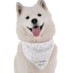 Bandoggies Dog Bandanas