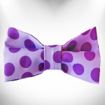 WalkeWoo Ltd Pet Accessories