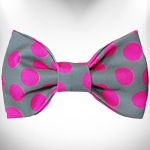 WalkeWoo Ltd Pet Accessories