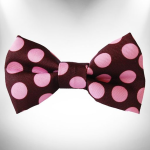 WalkeWoo Ltd Polka Dot Dog Bow Tie Pet Accessories