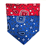 WalkeWoo Ltd Dog Bandana