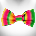 WalkeWoo Ltd Pet Accessories