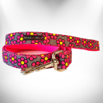 WalkeWoo Ltd Daisies Dog Leash Dog Leashes