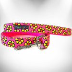 WalkeWoo Ltd Dog Leads