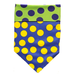 WalkeWoo Ltd Dog Bandana