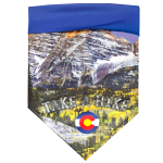 WalkeWoo Ltd Dog Bandana