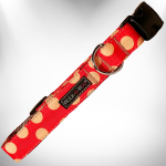 WalkeWoo Ltd Dog Collars