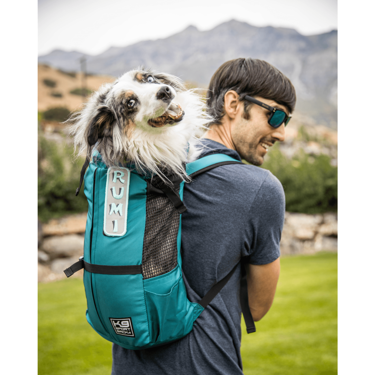 K9 Sport Sack K9 Sport Sack Trainer Pet Carriers